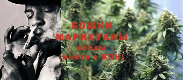 PSILOCYBIN Михайловск