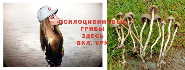 дживик Майский