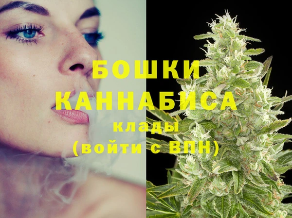 PSILOCYBIN Михайловск