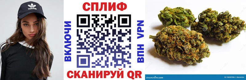 Бошки марихуана семена  цена наркотик  omg рабочий сайт  Нытва 